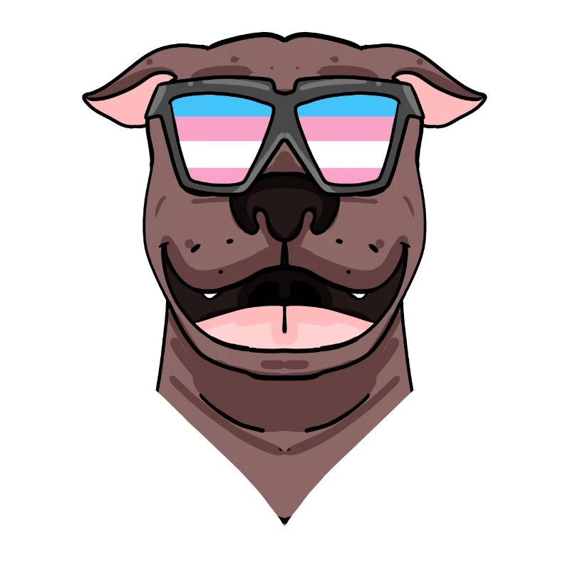 American Pit Bull Terrier