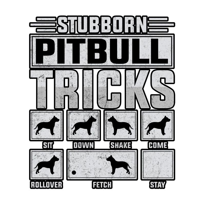Stubborn pitbull tricks