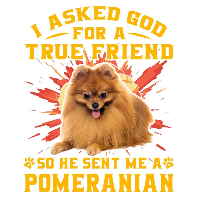 I asked God for a true friend so he sent me a