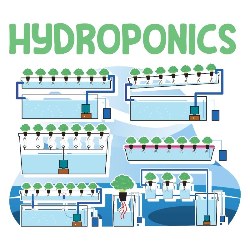 Hydroponics