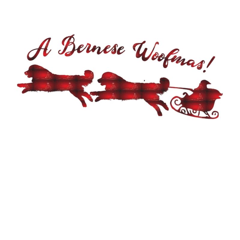 Noël du Bouvier Bernois