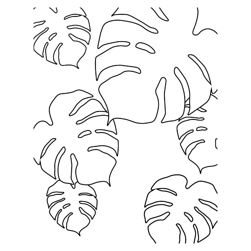 Feuilles de Monstera