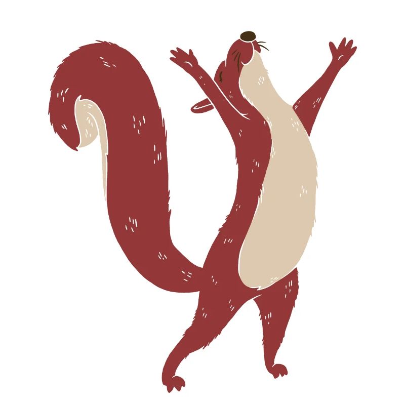 Eichhörnchen Kind Waldtiere