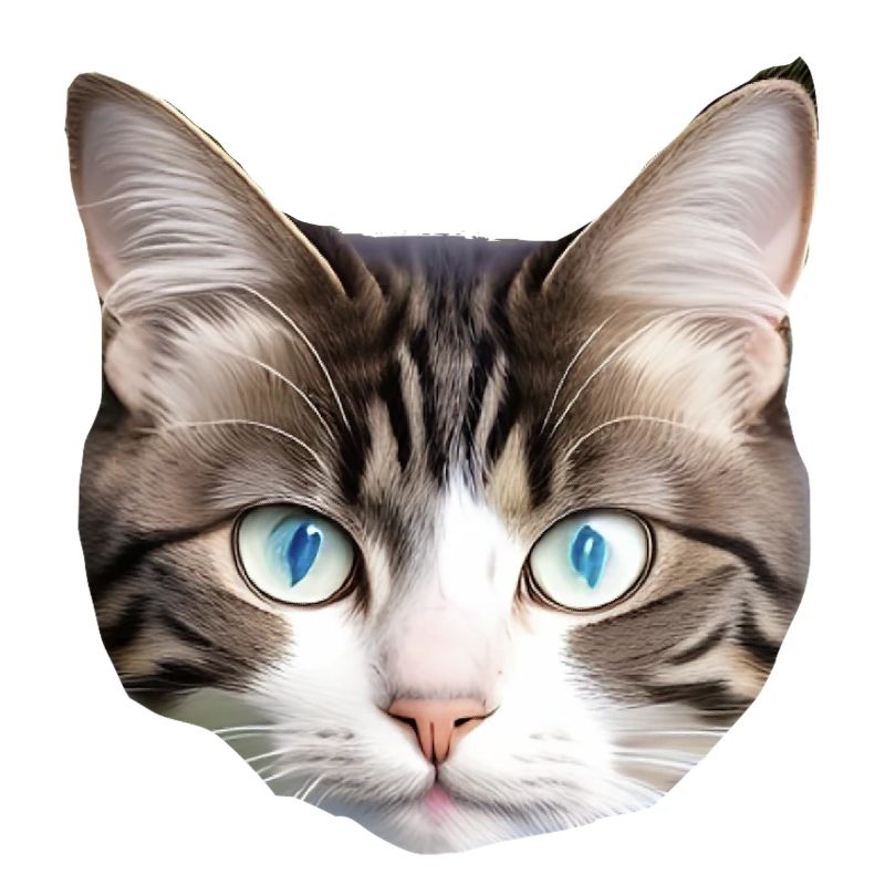 Chat mignon
