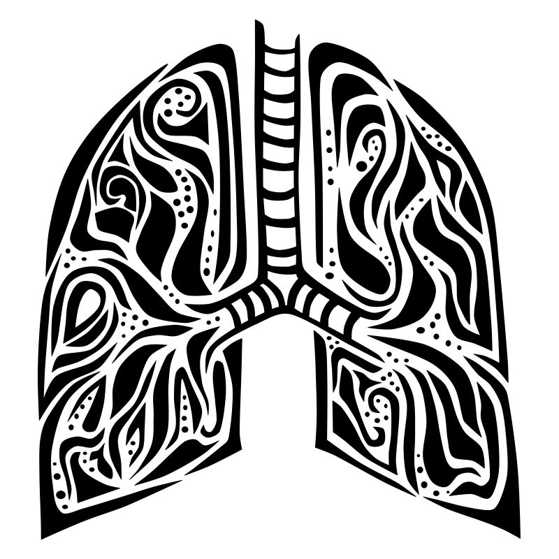 lungs