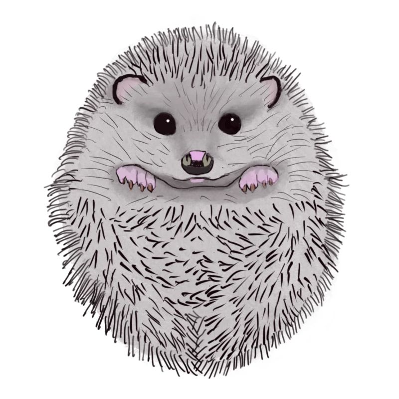 Igel
