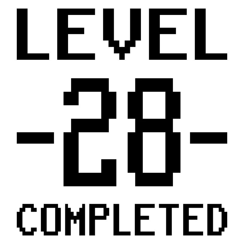 28th Birthday Level 28 Gift