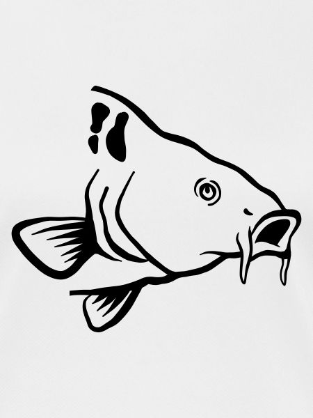Carp