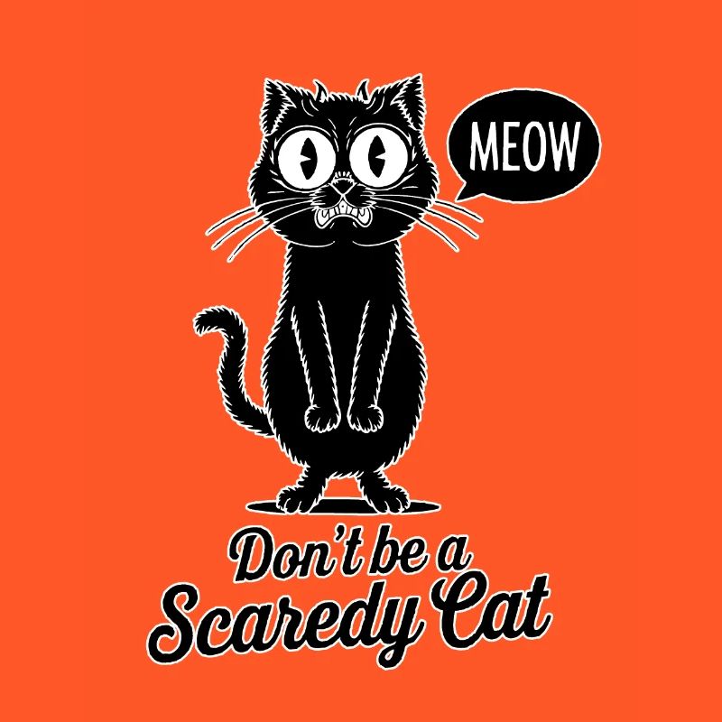 Ne soyez pas un chat effrayé