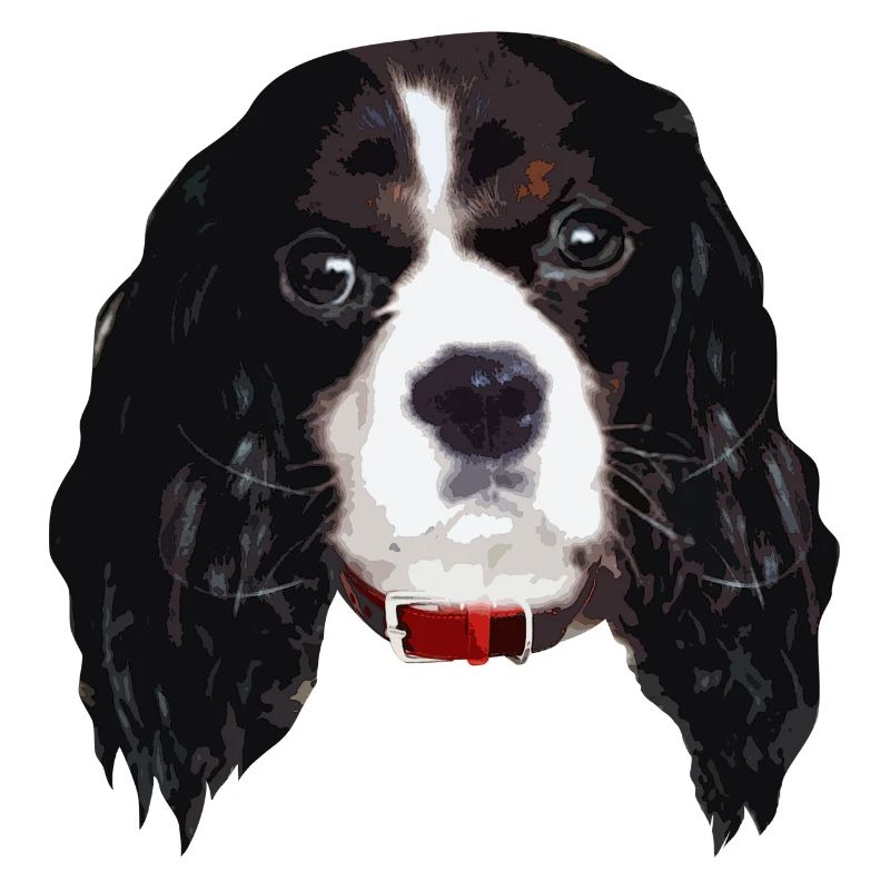 cavalierkingcharlesspaniel_face005