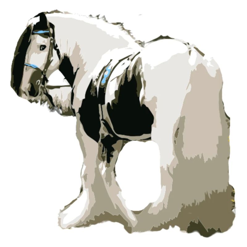 Pferd, Tinker , Pferd Tinker, Geschenkidee