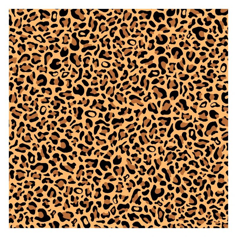 Leopard Pattern | Leopard Print | African Animal