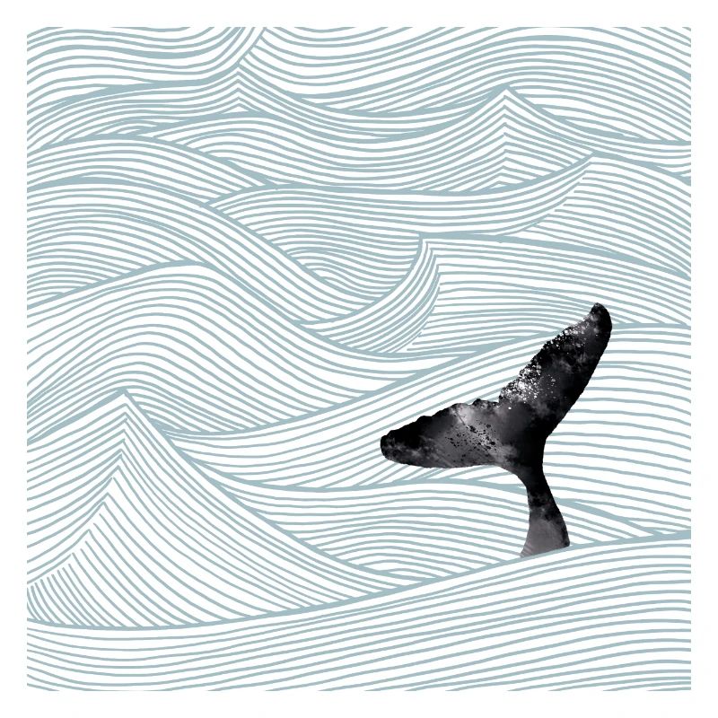 Baleines océaniques