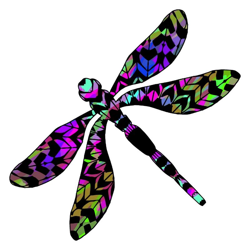 Libellule