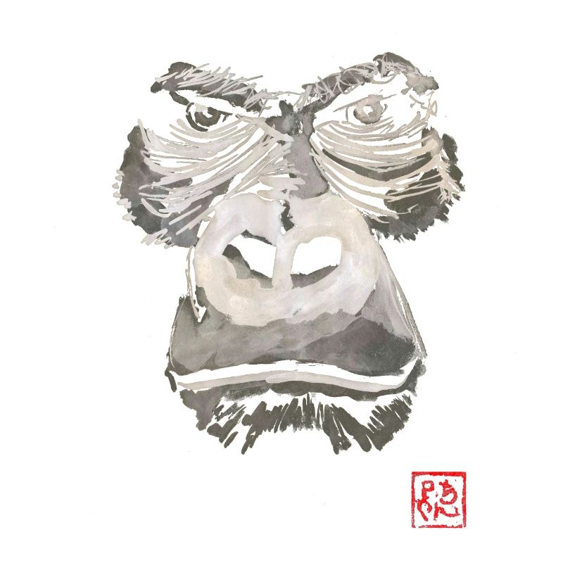 Angry Gorilla