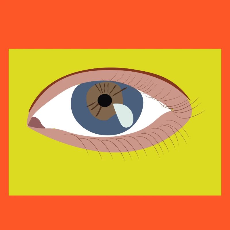 Oeil