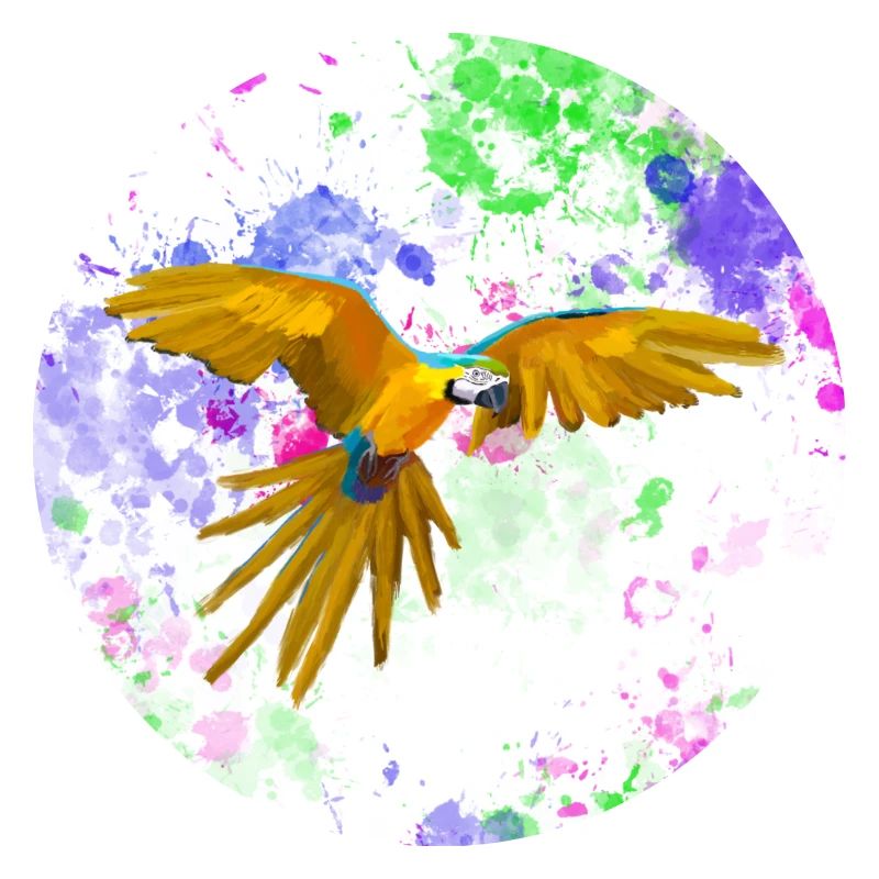 Macaw flight before paint splashes
