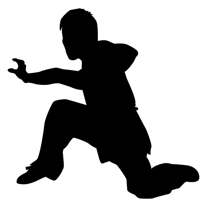 kung fu