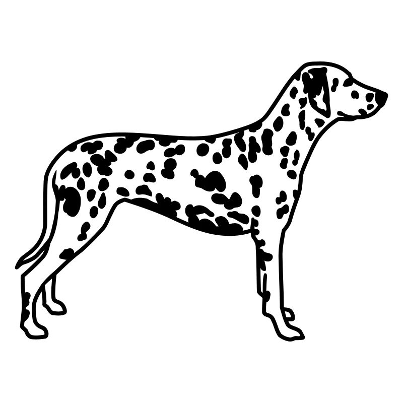 dalmatien