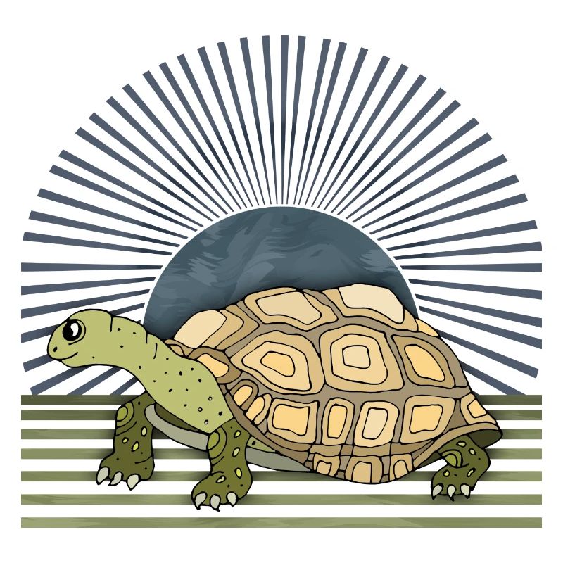 Tortoise