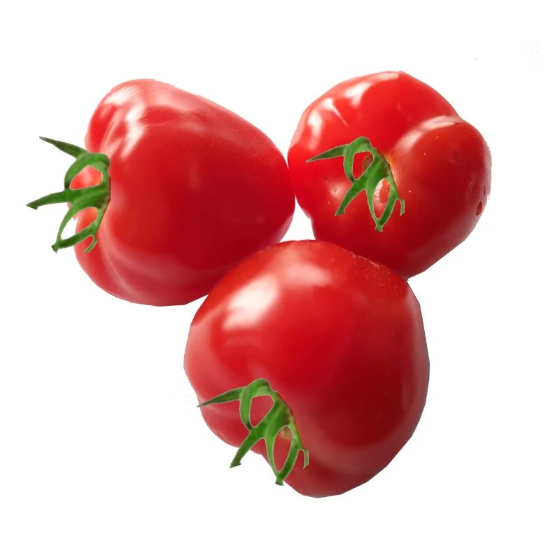 Tomatoes,vine tomatoes,panicle tormats,tomato,photo