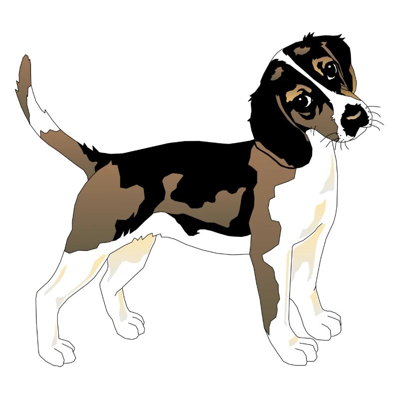 Chien