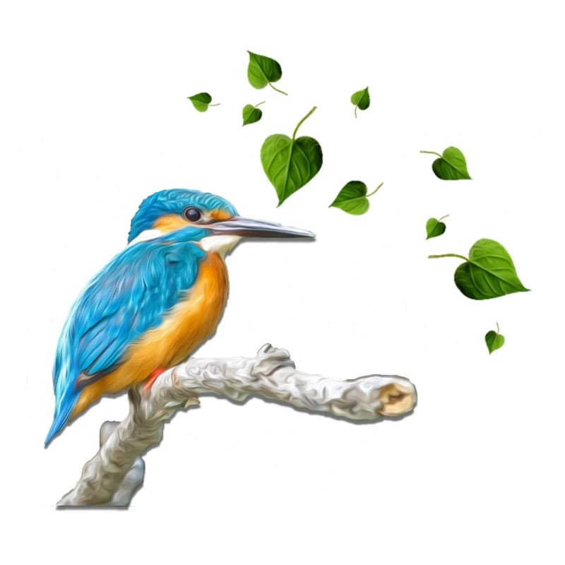 Eisvogel