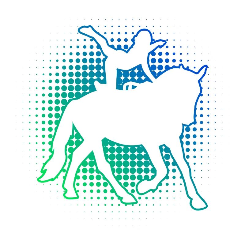 Vaulting Athletic Discipline Equestrian Art