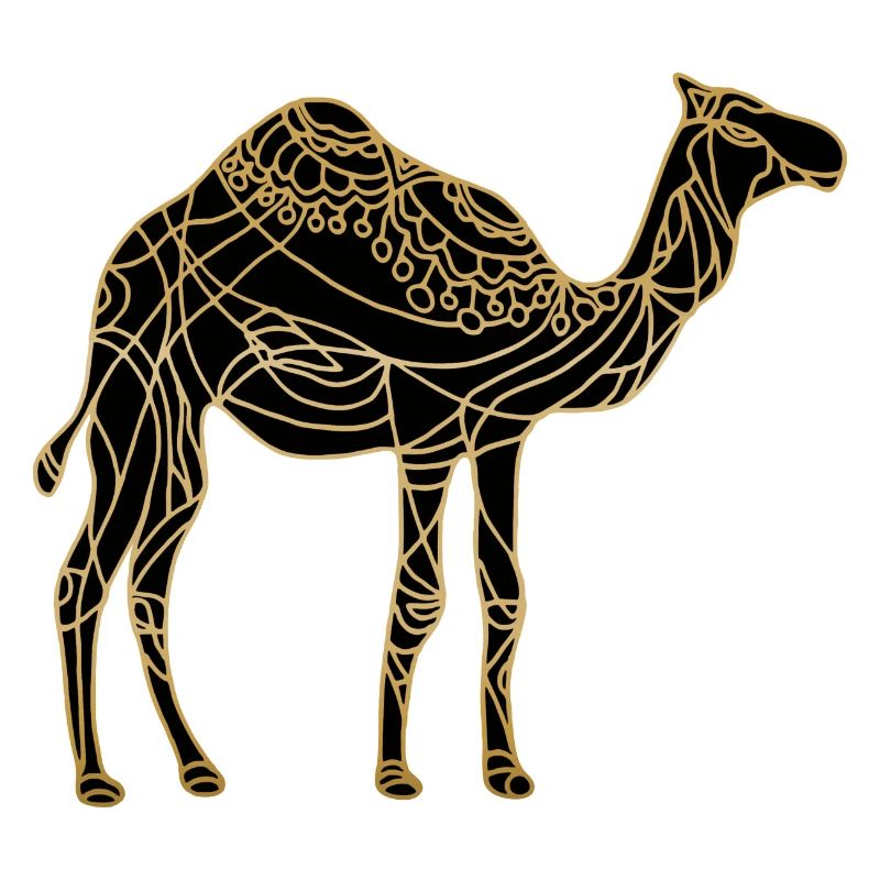 Camel