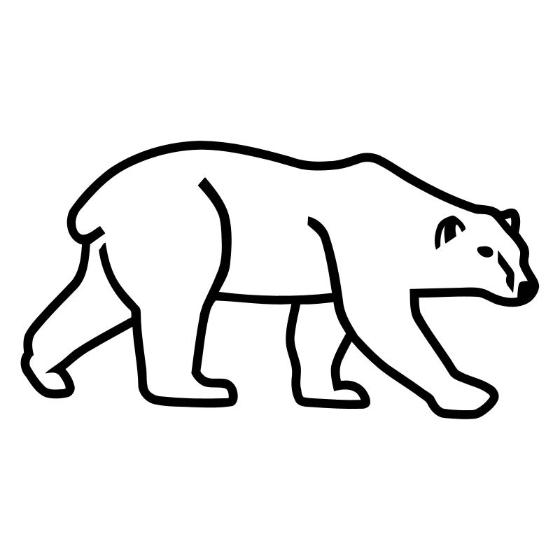 Polar bear