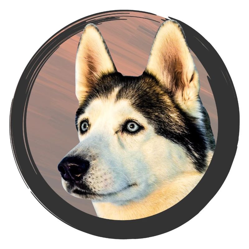 Husky