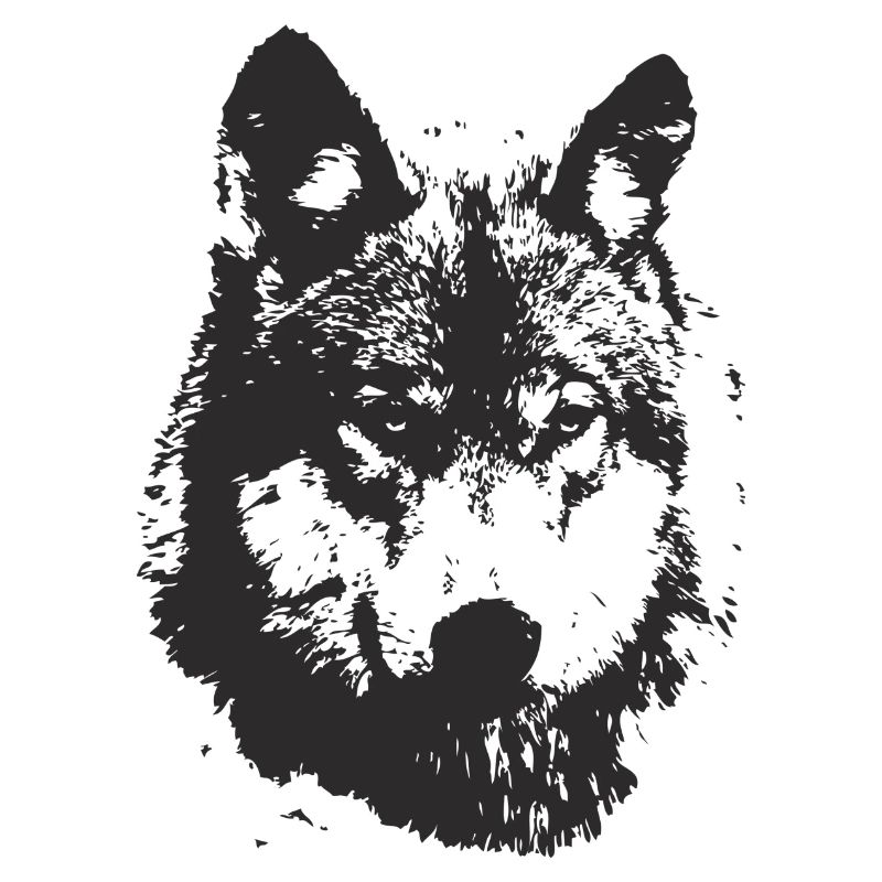 illustration te e te de loup noire
