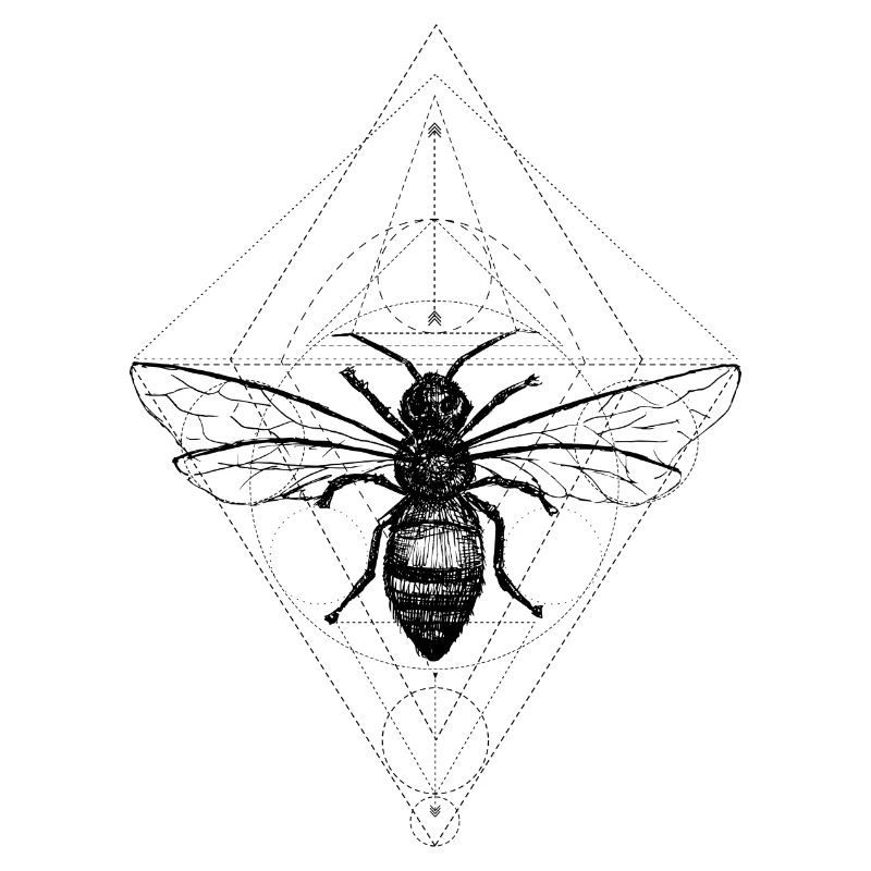 Biene Geometrisch
