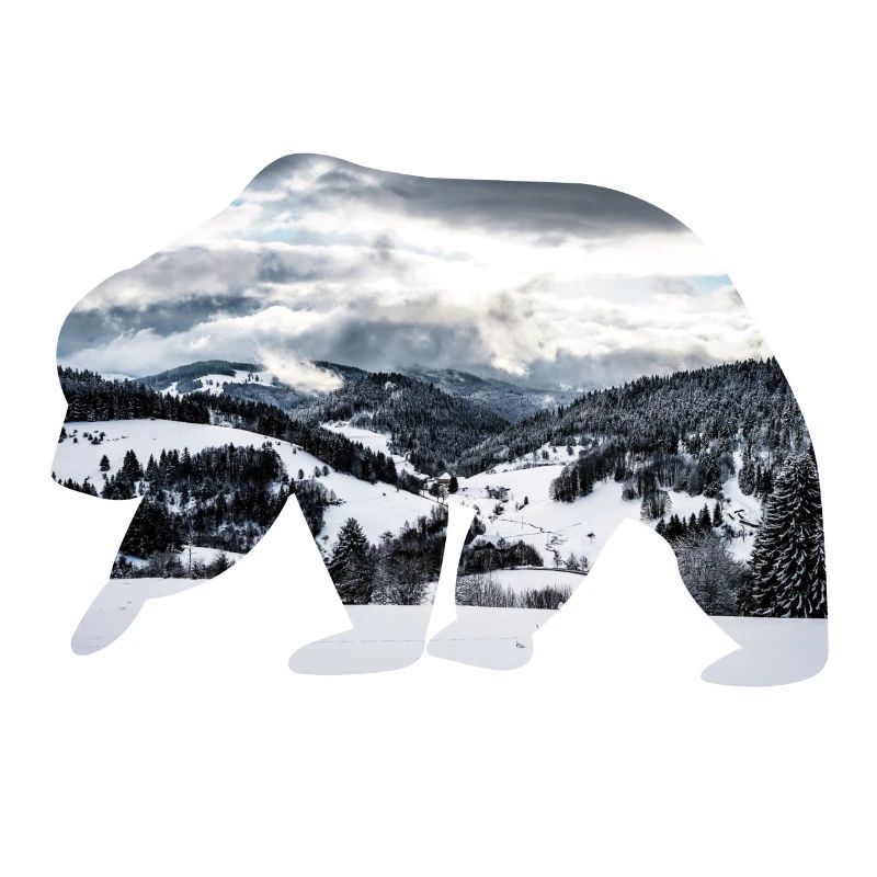 Eisbär.