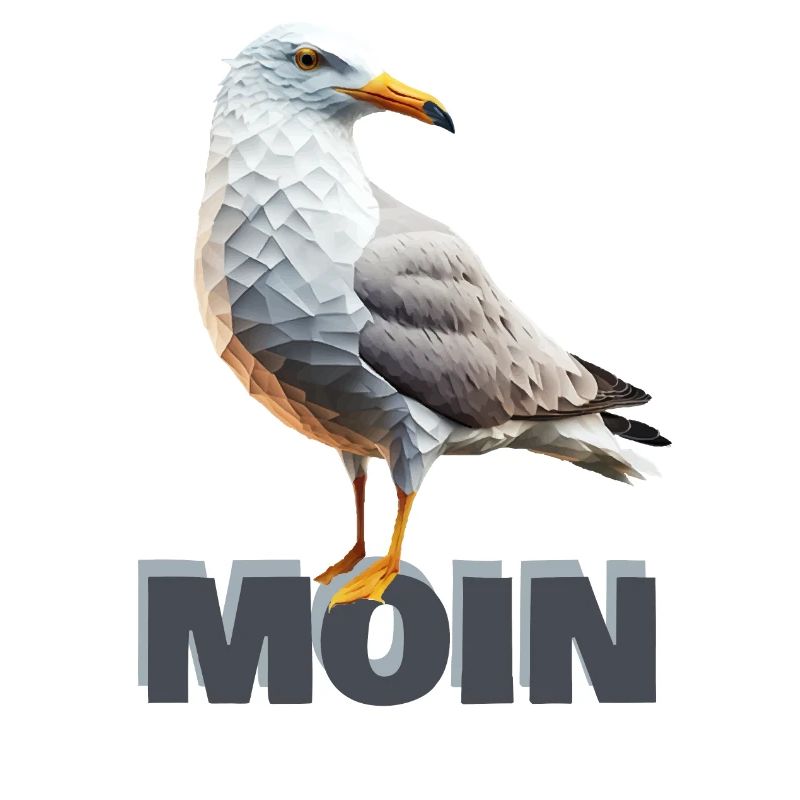 Moin Möwe Seemöwe Polygon Meer