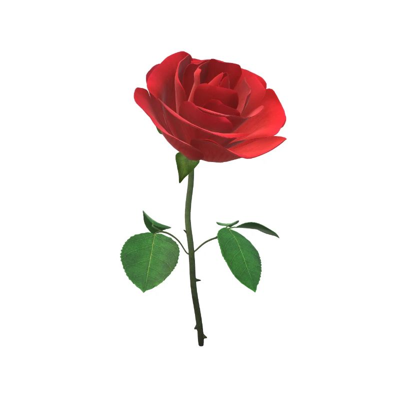 Die Rose 3D