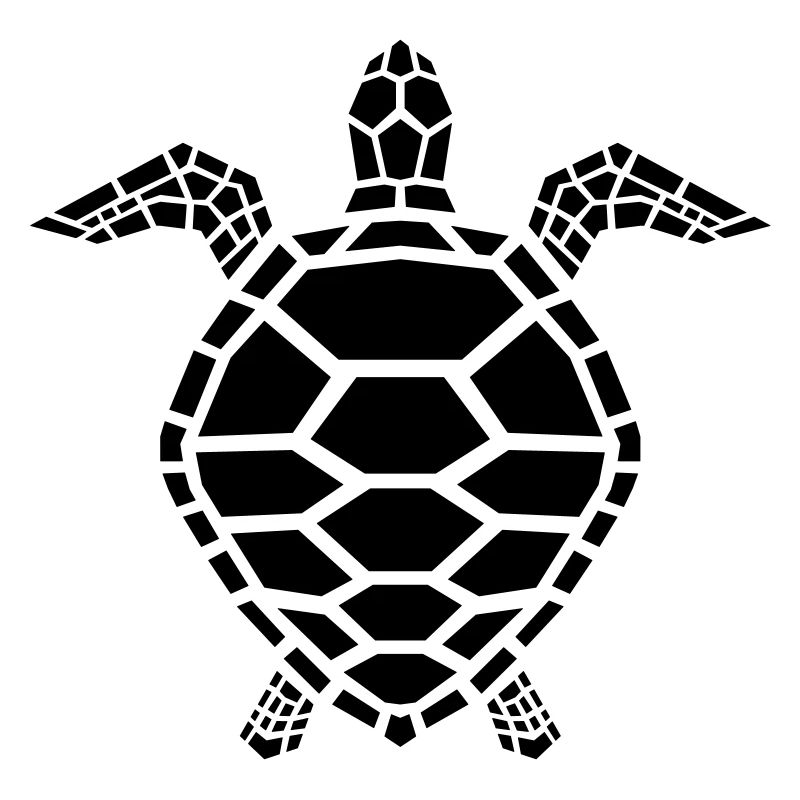 tortue de mer