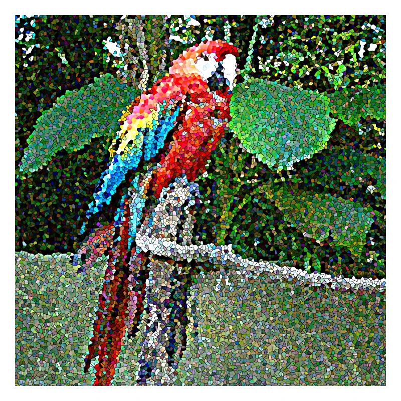 A very curious parrot