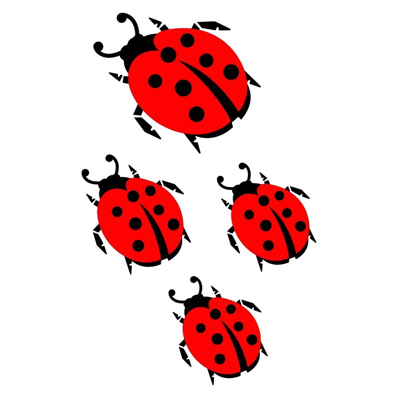 ladybug marienkaefer