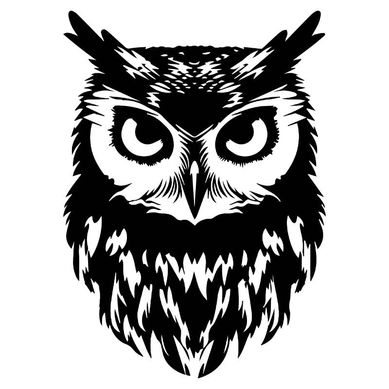 Eule Eulen Vogel Vögel