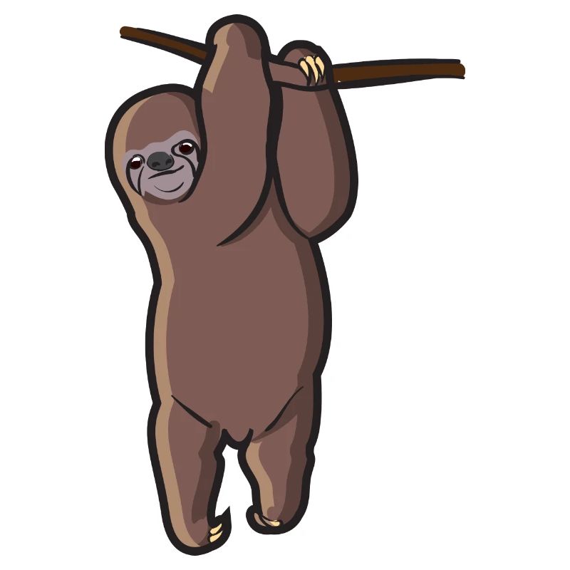Sloth holds on to a branch and hangs around