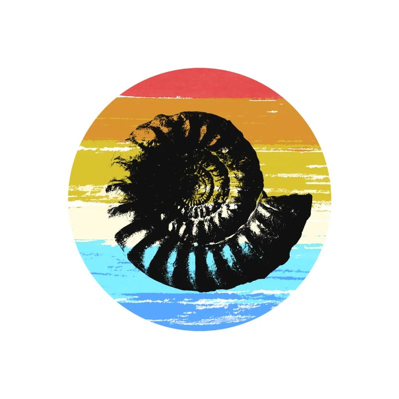 Ammonite Fossil color circle cool gift idea
