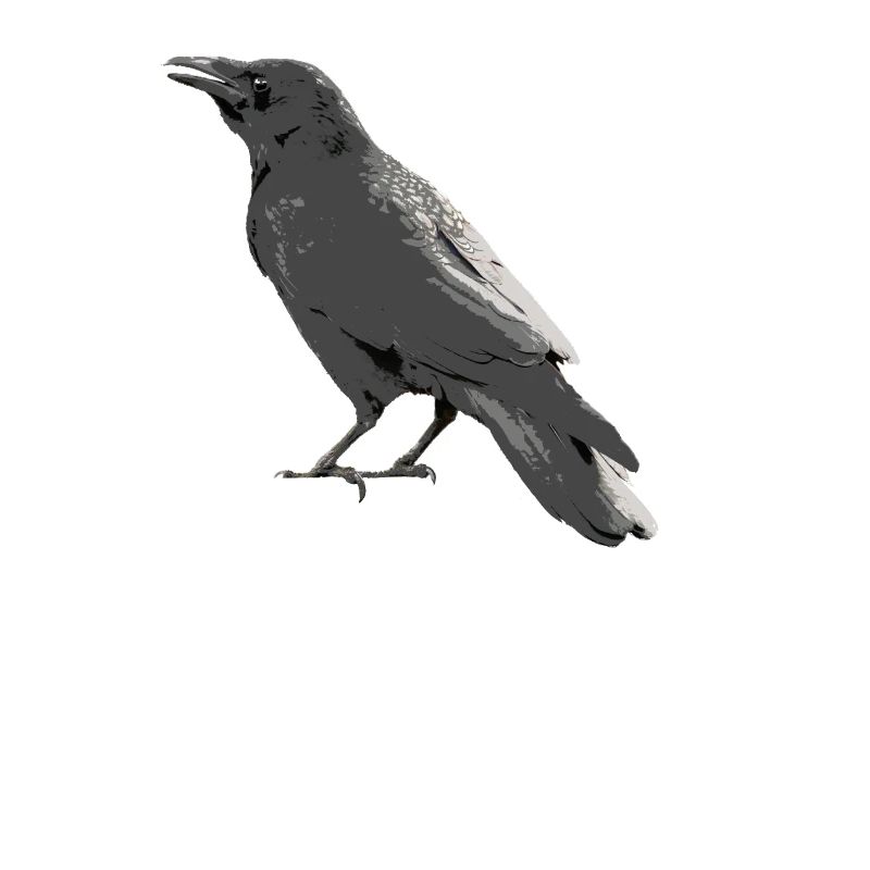 Crow