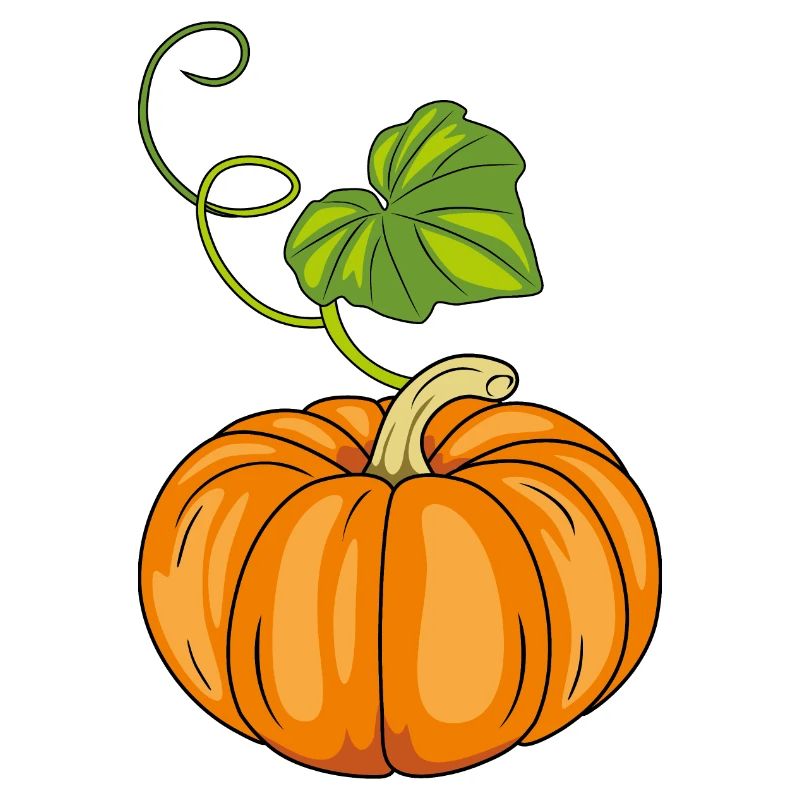 Ripe pumpkin with green leaf