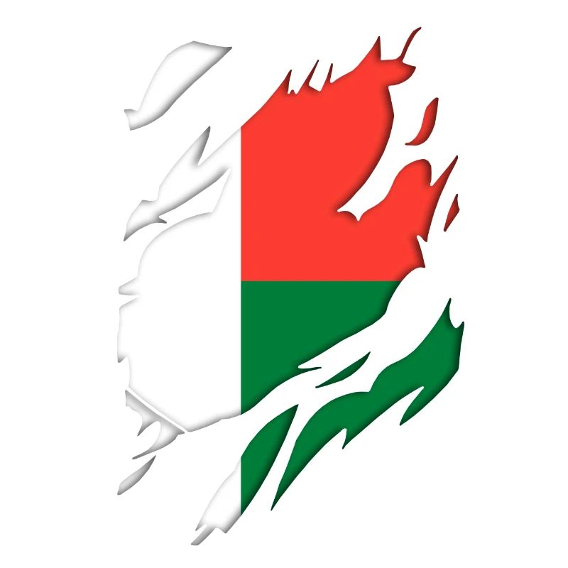 Motif déchiré du drapeau de Madagascar