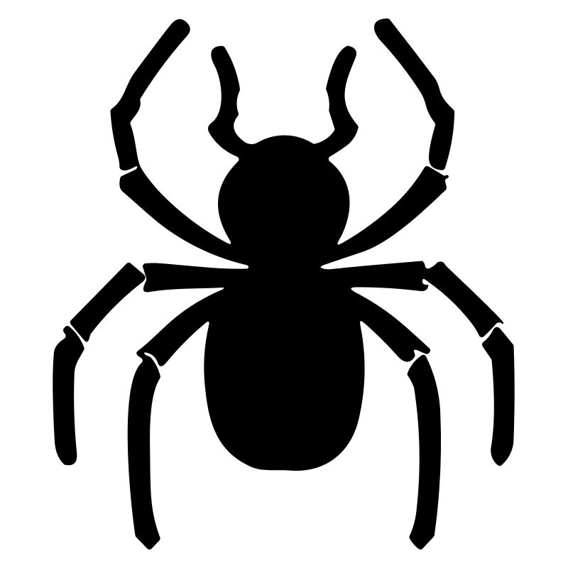 Spinne