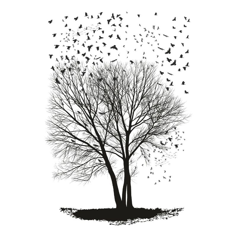 Ravens on a Poplar trees2