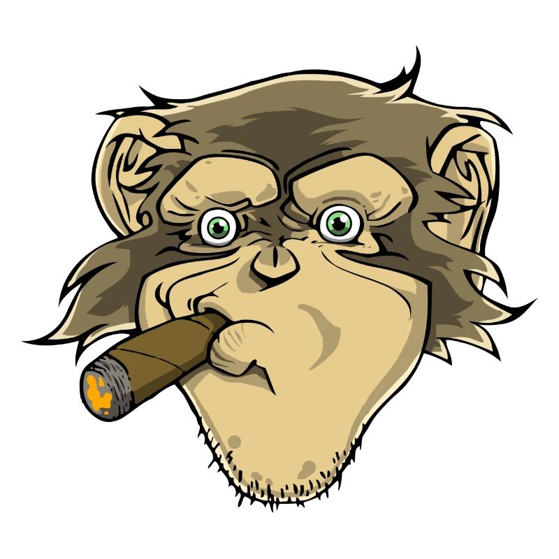 Chimpanzee