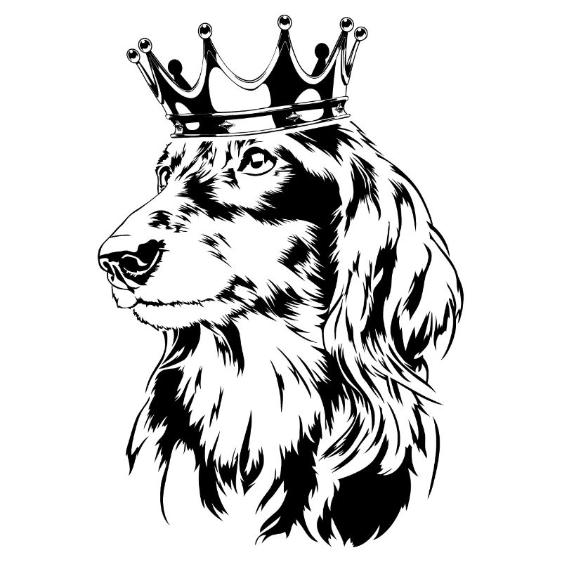 TECKEL À POIL LONG Chiens de la Couronne Wilsigns