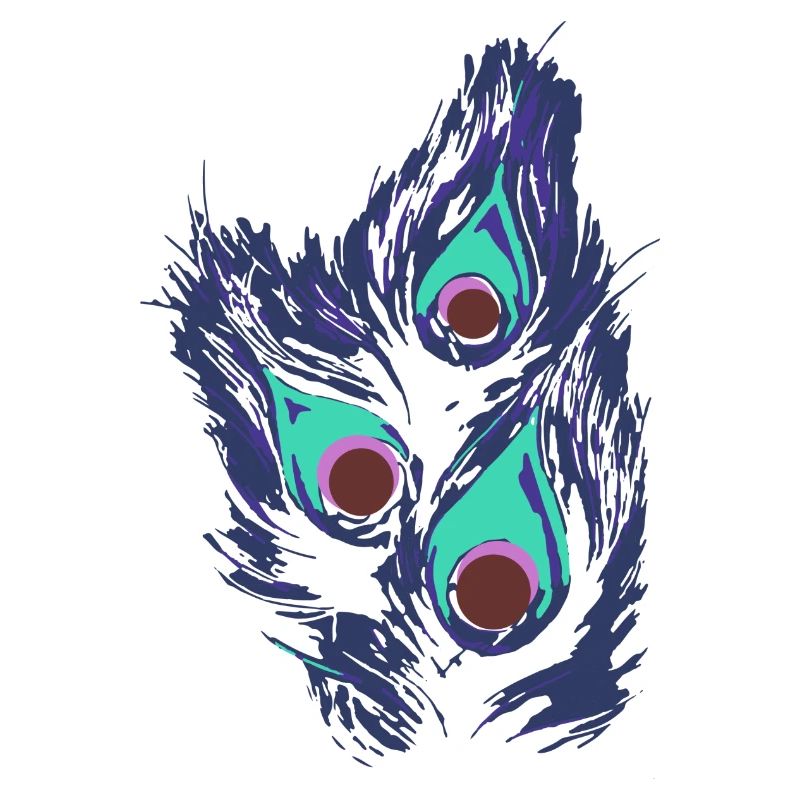 Peacock Peacock Feather,Peacock,Peacock Eye